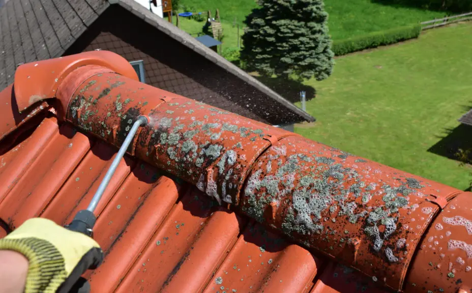 Traitement antimousse après nettoyage toiture Yerres